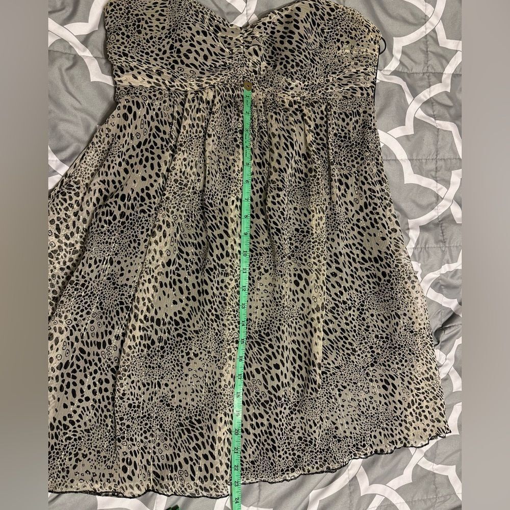 Express Dress - Picture 5 of 7